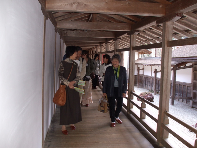 DSCF0431.jpg