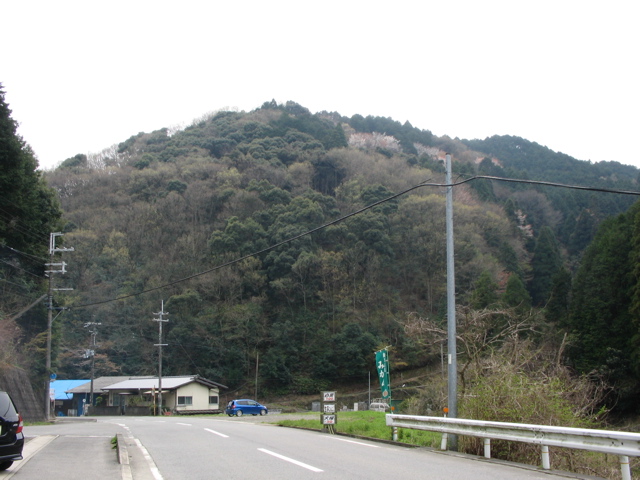 IMG_1768.jpg