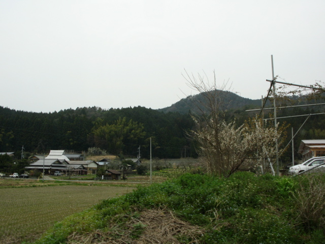 IMG_1770.jpg
