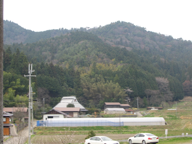 IMG_1791.jpg