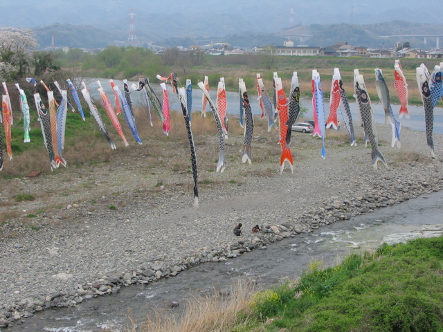 IMG_1796.jpg