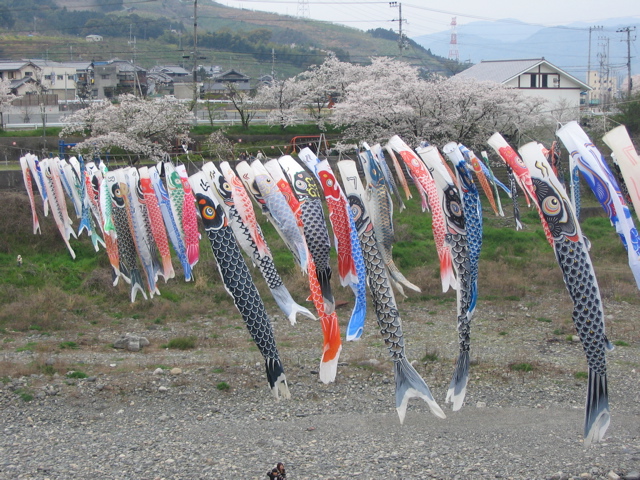 IMG_1798.jpg