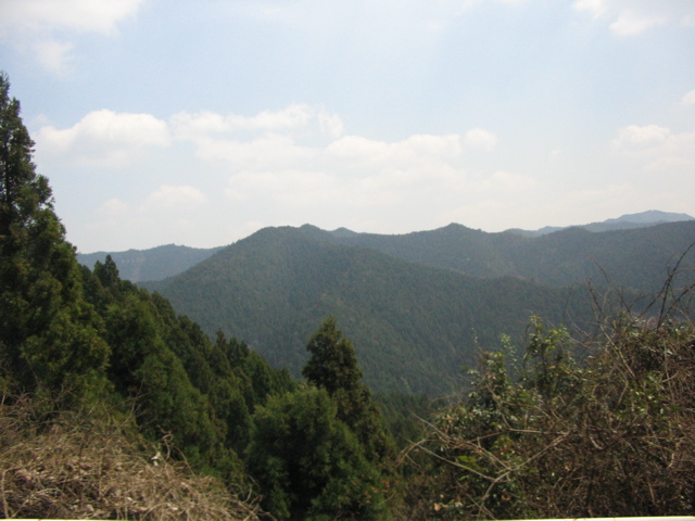 IMG_1854.jpg