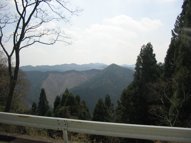 IMG_1855.jpg
