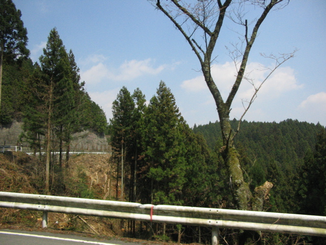 IMG_1856.jpg