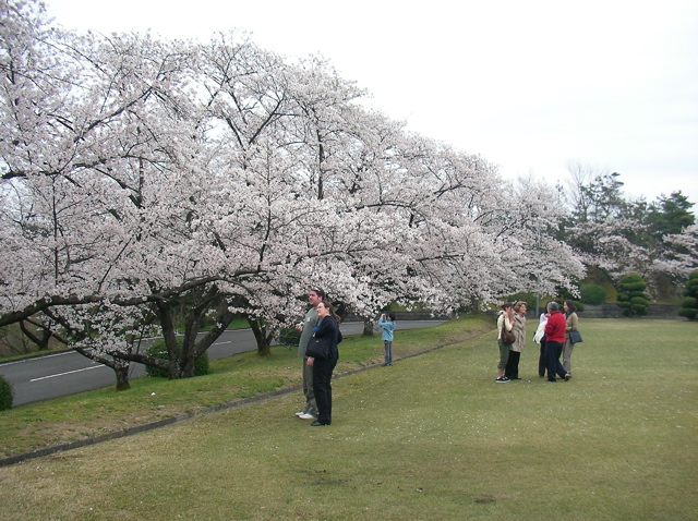 Japan/TaePictures/SANY0011.jpg