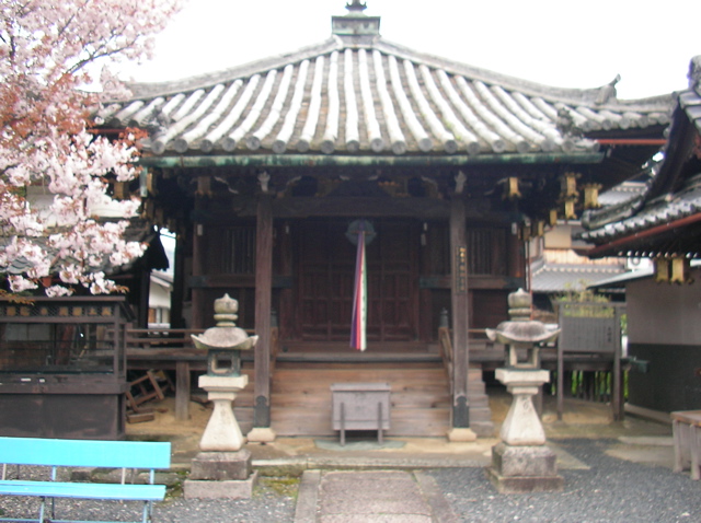 Japan/TaePictures/SANY0103.jpg