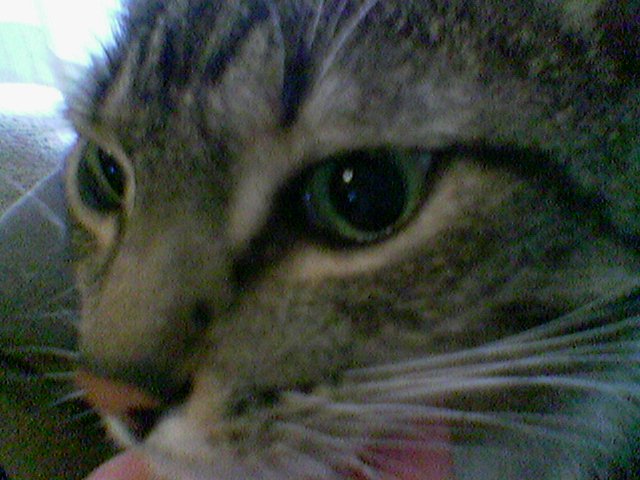 Image(013).jpg