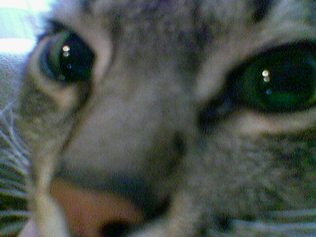 Image(014).jpg